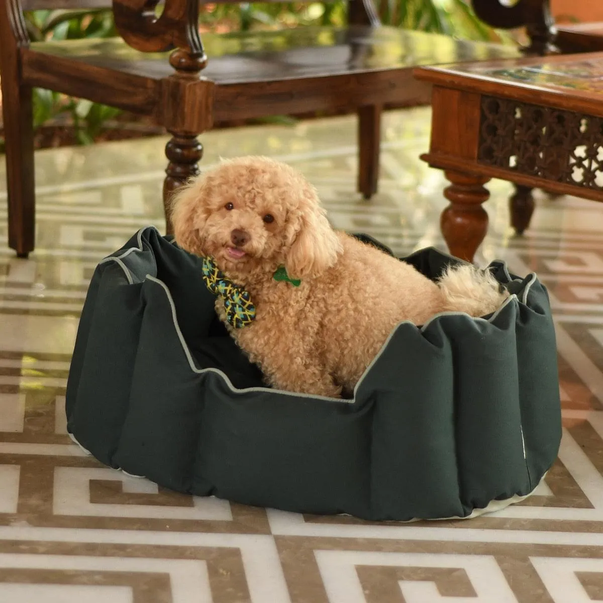 Acrylic Coated Dog Bed - Medium - Kyoko - Pine Green