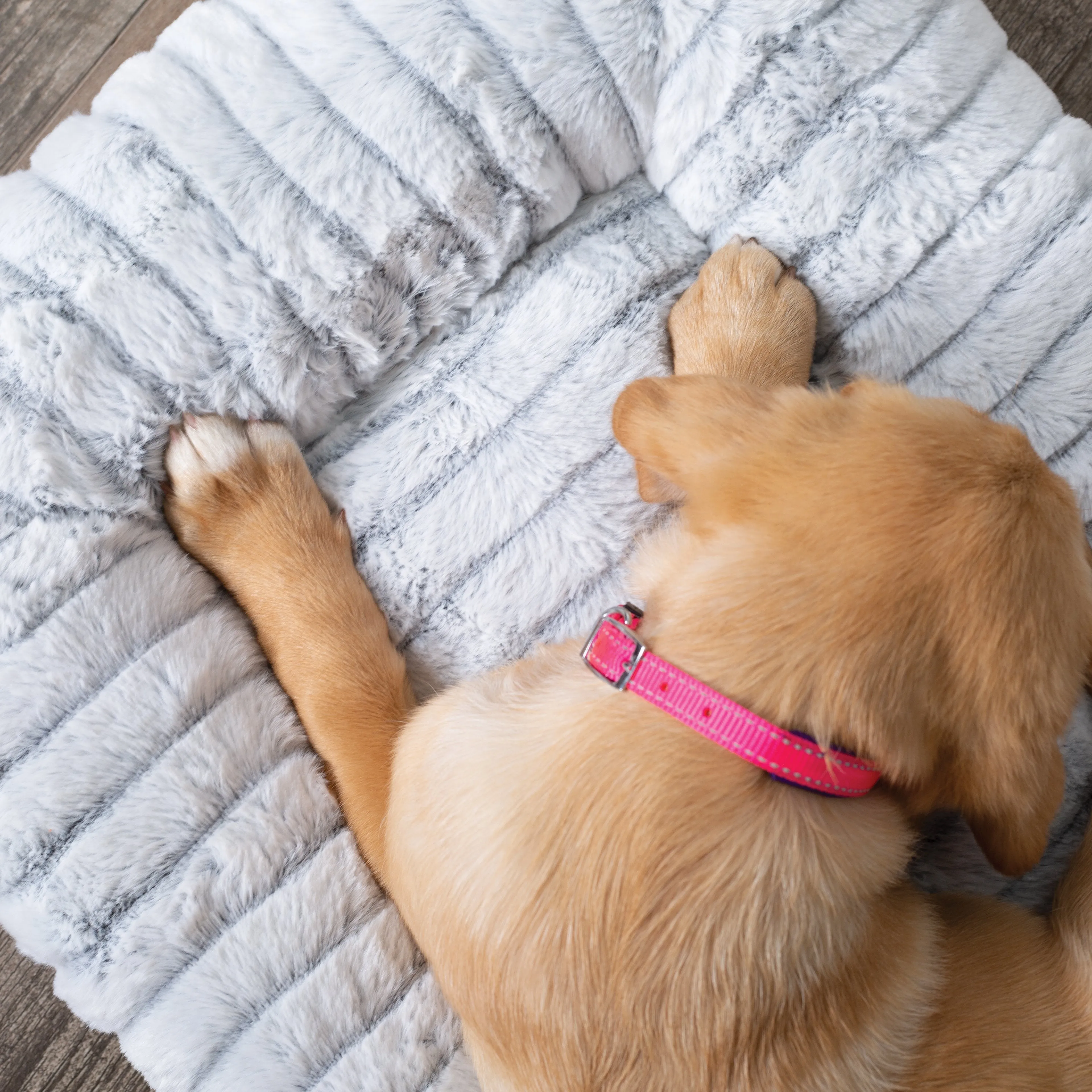 Kazoo Cloud Comfort Large Grey Dog Bed