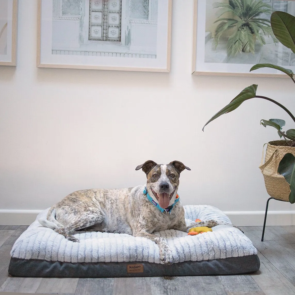 Kazoo Cloud Comfort Large Grey Dog Bed