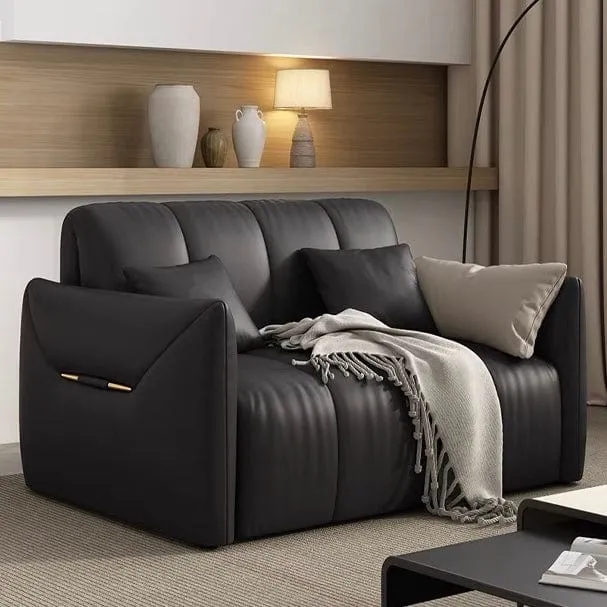 Reane Scratch Resistant Electric Sofa Bed