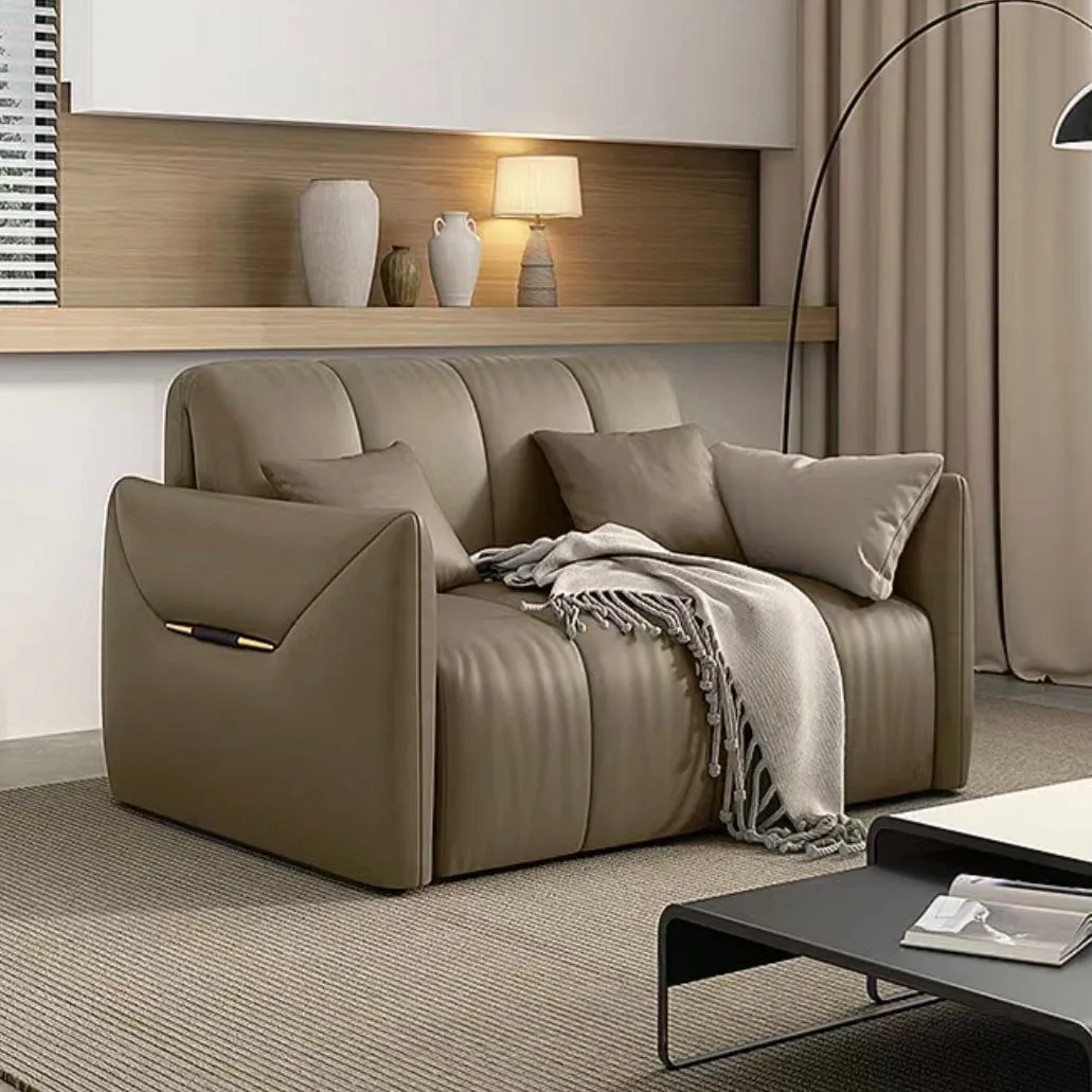 Reane Scratch Resistant Electric Sofa Bed