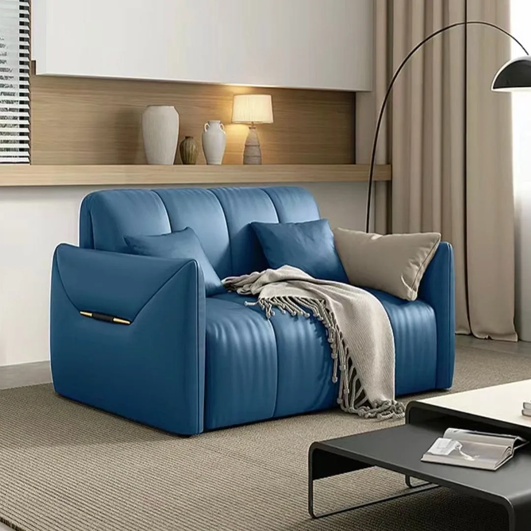 Reane Scratch Resistant Electric Sofa Bed