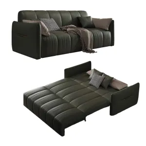 Reane Scratch Resistant Electric Sofa Bed