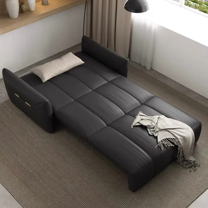 Reane Scratch Resistant Electric Sofa Bed