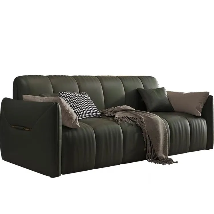 Reane Scratch Resistant Electric Sofa Bed