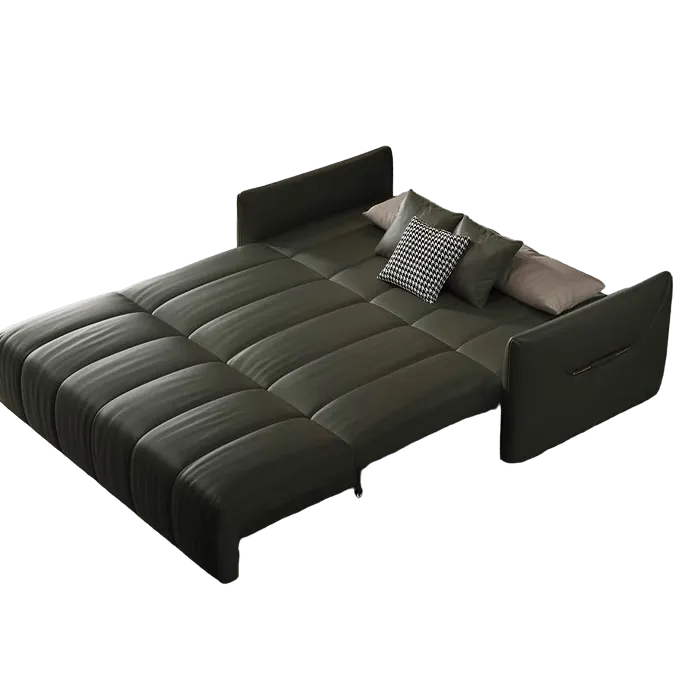 Reane Scratch Resistant Electric Sofa Bed