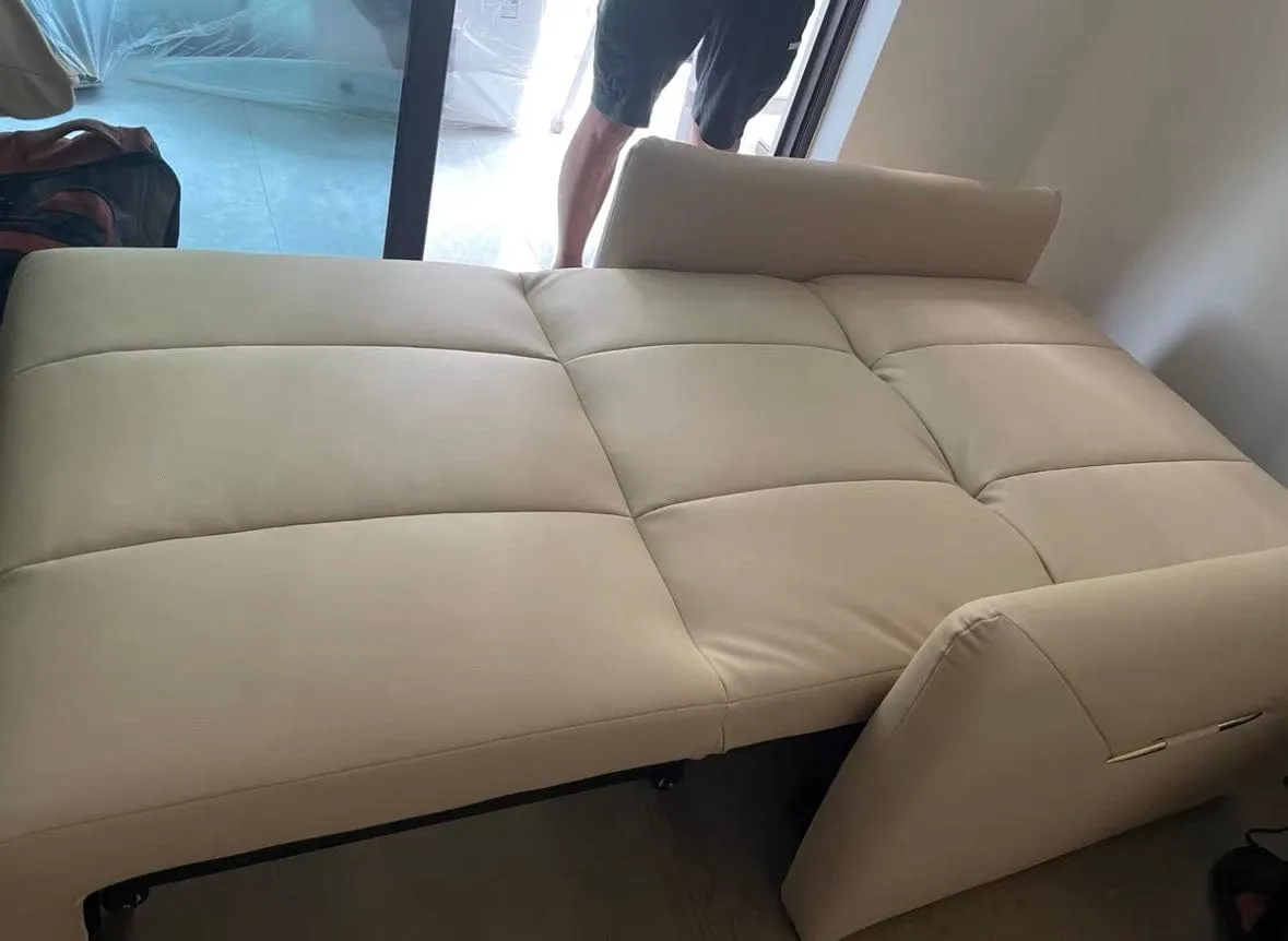 Reane Scratch Resistant Electric Sofa Bed