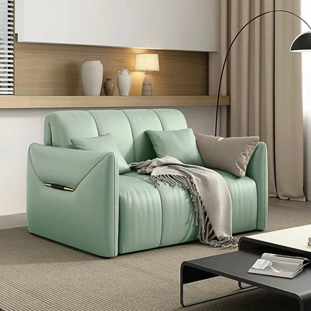 Reane Scratch Resistant Electric Sofa Bed