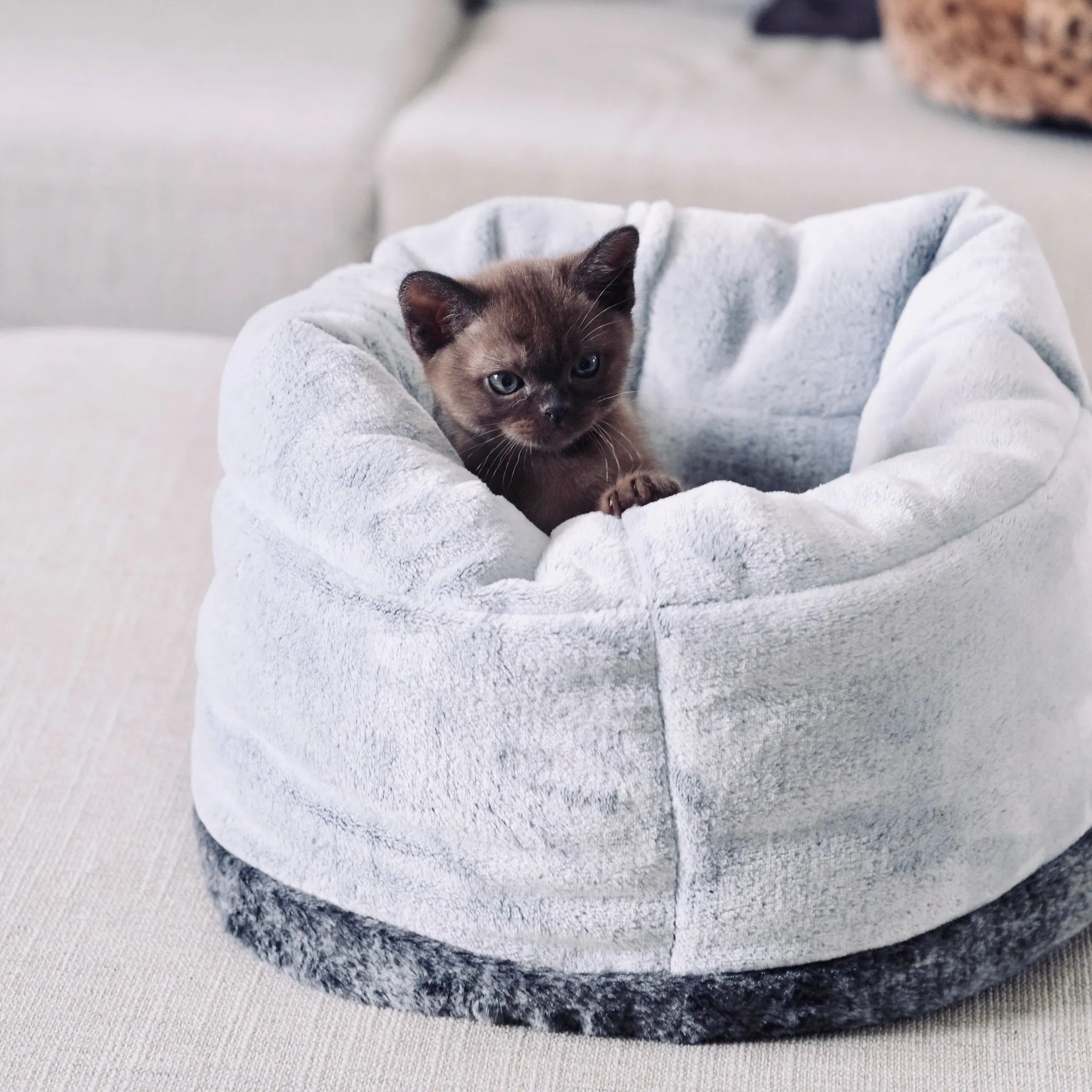 Snooza The Cat Bed Chinchilla