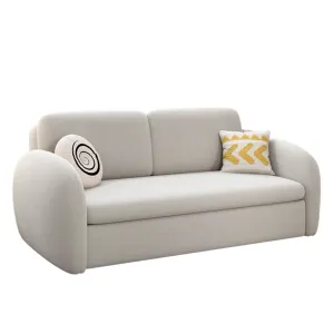 Taylor Scratch Resistant Storage Sofa Bed