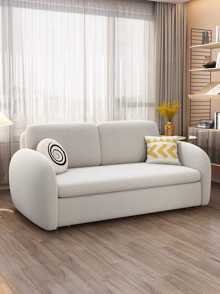 Taylor Scratch Resistant Storage Sofa Bed